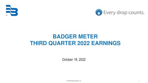 Badger Meter: Q3 Earnings Snapshot